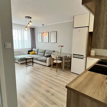 Apartament Paryska 3 شقة